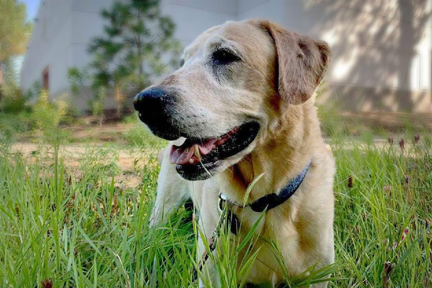 The Kathryn Ann • Portland Apartment Living